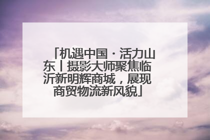 机遇中国・活力山东丨摄影大师聚焦临沂新明辉商城，展现商贸物流新风貌