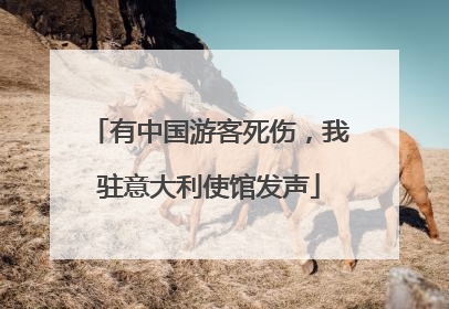 有中国游客死伤，我驻意大利使馆发声