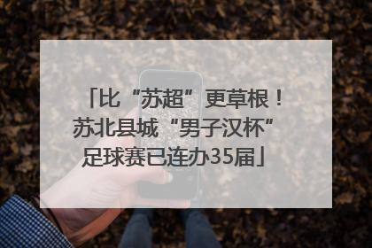 比“苏超”更草根！苏北县城“男子汉杯”足球赛已连办35届