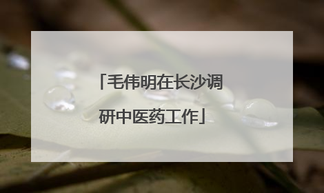 毛伟明在长沙调研中医药工作