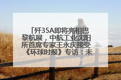 歼35A即将亮相巴黎航展，中航工业沈阳所首席专家王永庆接受《环球时报》专访：未来数量可以有很多