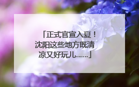 正式官宣入夏！沈阳这些地方既清凉又好玩儿……
