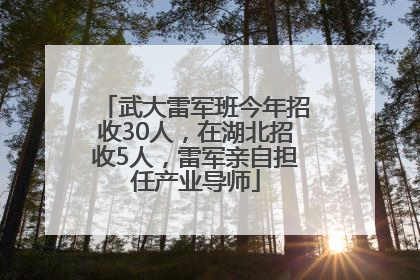 武大雷军班今年招收30人，在湖北招收5人，雷军亲自担任产业导师