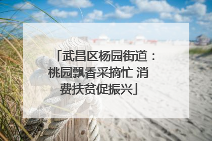 武昌区杨园街道：桃园飘香采摘忙 消费扶贫促振兴