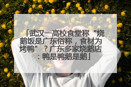武汉一高校食堂称“烧鹅饭是广东俗称，食材为烤鸭”？广东多家烧鹅店：鸭是鸭鹅是鹅
