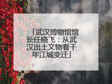武汉博物馆馆长任晓飞：从武汉出土文物看千年江城变迁