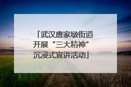 武汉唐家墩街道开展“三大精神”沉浸式宣讲活动