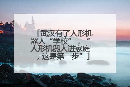 武汉有了人形机器人“学校”，“人形机器人进家庭，这是第一步”