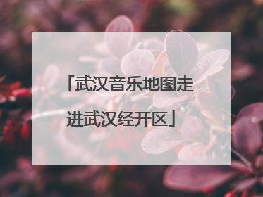 武汉音乐地图走进武汉经开区
