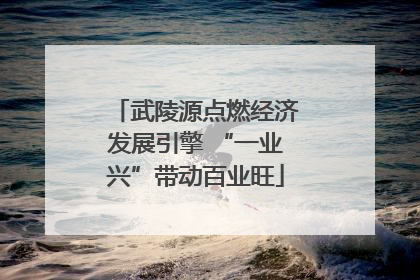 武陵源点燃经济发展引擎 “一业兴”带动百业旺