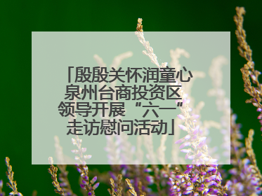 殷殷关怀润童心 泉州台商投资区领导开展“六一”走访慰问活动
