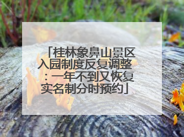 桂林象鼻山景区入园制度反复调整：一年不到又恢复实名制分时预约