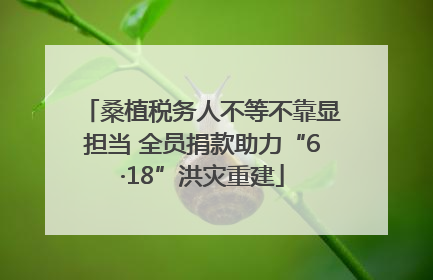 桑植税务人不等不靠显担当 全员捐款助力“6·18”洪灾重建