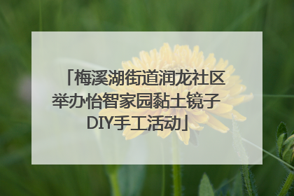 梅溪湖街道润龙社区举办怡智家园黏土镜子DIY手工活动