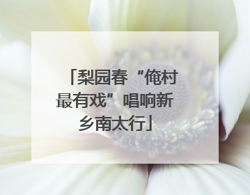 梨园春“俺村最有戏”唱响新乡南太行