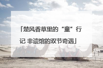 楚风香草里的“童”行记 非遗馆的双节奇遇