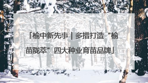 榆中新先事｜多措打造“榆苗陇萃”四大种业育苗品牌