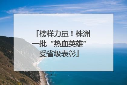 榜样力量！株洲一批“热血英雄”受省级表彰