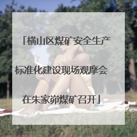 横山区煤矿安全生产标准化建设现场观摩会在朱家峁煤矿召开