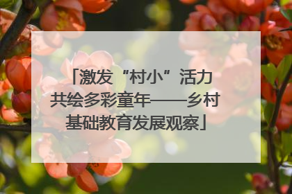 激发“村小”活力 共绘多彩童年——乡村基础教育发展观察