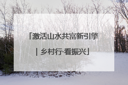 激活山水共富新引擎｜乡村行·看振兴