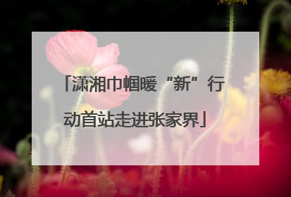 潇湘巾帼暖“新”行动首站走进张家界