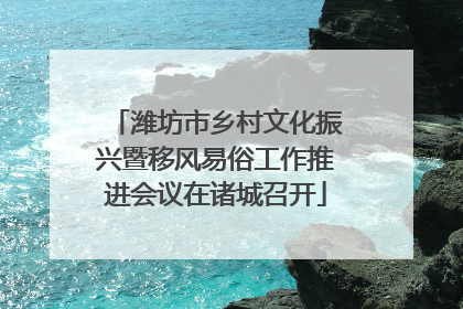 潍坊市乡村文化振兴暨移风易俗工作推进会议在诸城召开