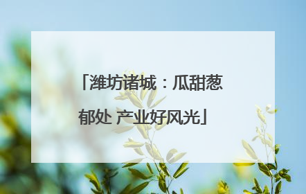 潍坊诸城：瓜甜葱郁处 产业好风光