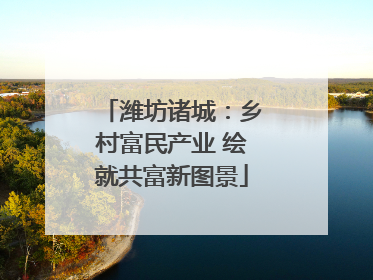潍坊诸城：乡村富民产业 绘就共富新图景