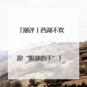 潮评丨西湖不欢迎“粗暴的手”