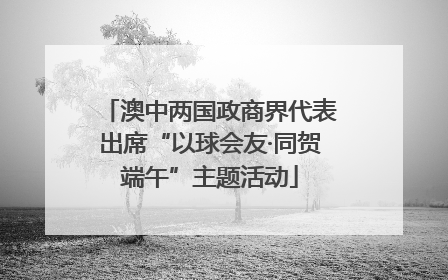 澳中两国政商界代表出席“以球会友·同贺端午”主题活动