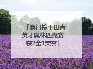 澳门镜平世青英才奥林匹克赛获2金1荣誉