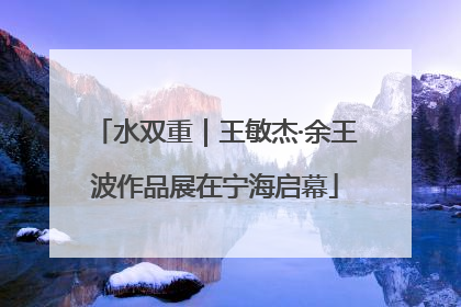 水双重｜王敏杰·余王波作品展在宁海启幕