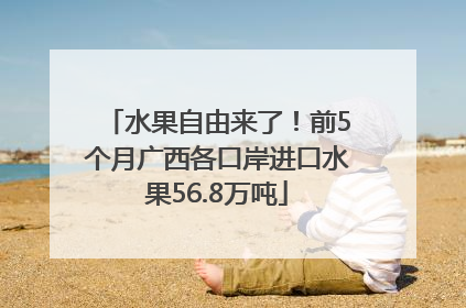 水果自由来了！前5个月广西各口岸进口水果56.8万吨