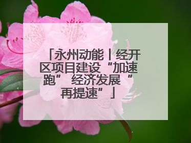 永州动能丨经开区项目建设“加速跑” 经济发展“再提速”