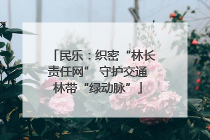 民乐：织密“林长责任网” 守护交通林带“绿动脉”