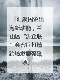 汇聚民企出海新动能，兰山区“沂企联”会客厅打造跨境发展强磁场