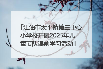 江油市太平镇第三中心小学校开展2025年儿童节队课前学习活动