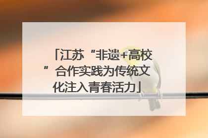 江苏“非遗+高校”合作实践为传统文化注入青春活力