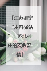 江苏睢宁“麦客驿站”：苏北村庄的麦收温情