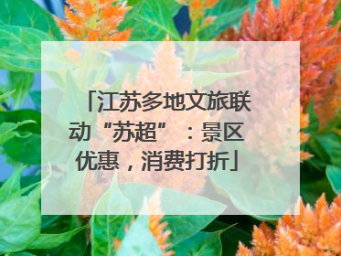 江苏多地文旅联动“苏超”：景区优惠，消费打折