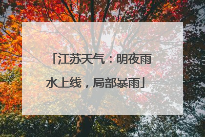 江苏天气：明夜雨水上线，局部暴雨