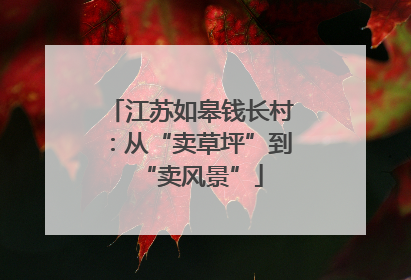 江苏如皋钱长村：从“卖草坪”到“卖风景”