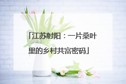 江苏射阳：一片桑叶里的乡村共富密码