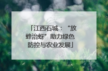 江西石城：“放蜂治蚜”助力绿色防控与农业发展