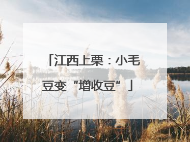 江西上栗：小毛豆变“增收豆”