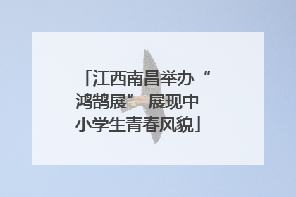江西南昌举办“鸿鹄展” 展现中小学生青春风貌
