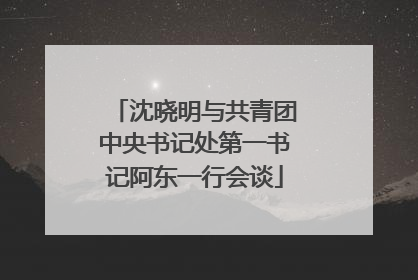 沈晓明与共青团中央书记处第一书记阿东一行会谈