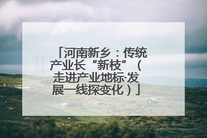 河南新乡：传统产业长“新枝”（走进产业地标·发展一线探变化）