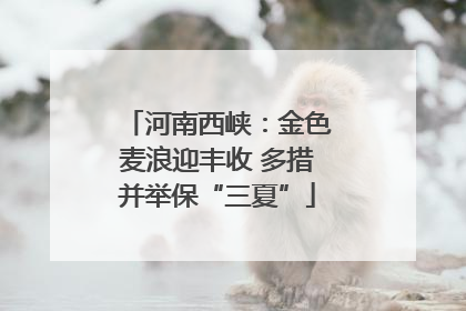 河南西峡：金色麦浪迎丰收 多措并举保“三夏”